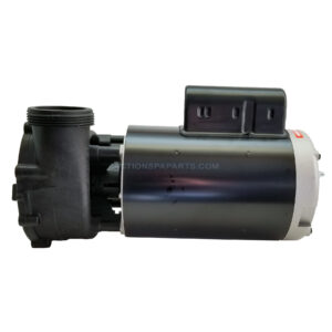 Pump Assembly LX Baseless 56FR 230V 2SP 4.0HP 2" MBT 12.0/4.4 Amps - Image 4