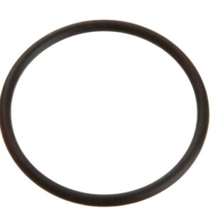 O-Ring Pentair Pump Union 1.5'' - Image 1