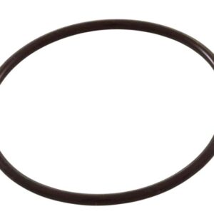 O-ring WW Pump Union 2 '' - Image 1